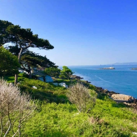 Meet your Posher, Kim - Picture 5 of 9